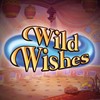 Playtech Launches New Wild Wishes Slot