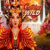A Look at The New Golden Wild Online Slot
