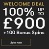 New Players get Bonus Spins and Free Cash at Intercasino