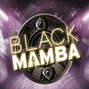 Play’n GO Set to Launch New Black Mamba Online Slot