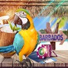 Win a Trip to Barbados at Roxy Palace Casino