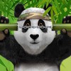 Still Time to Get More Than 100 Free Spins at Royal Panda Casino