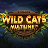 A Closer Look at The New Wild Cats Multiline Online Slot
