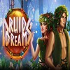 A Sneak Peek at the New Druids Dream Online Slot from NetEnt