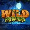 Check Out the New Wild Predators Online Slot from Golden Rock Studios