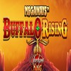 Blueprint Gaming Adds Buffalo Rising Megaways to Jackpot King Slot Series