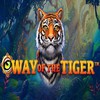 A Look at the New Way of the Tiger Online Slot