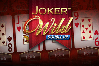 Joker Wild Double Up Poker