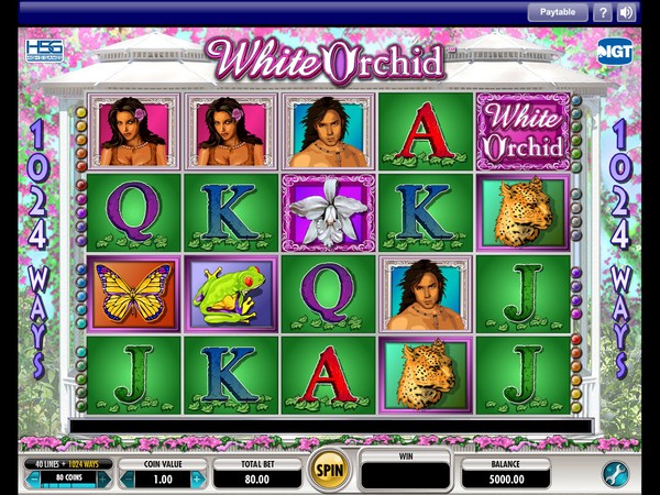 IGT  Screenshot